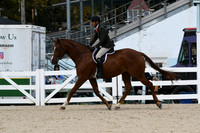 HSM_7961