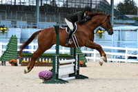 HSM_7964