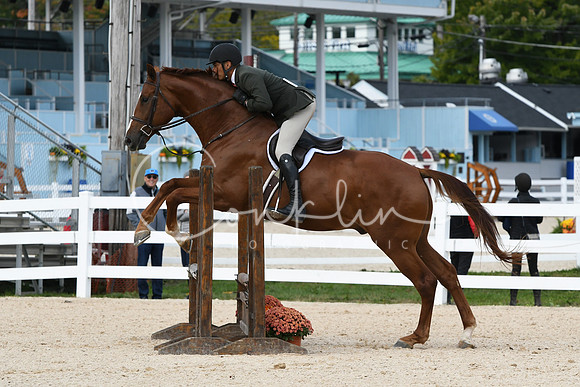 HSM_7973