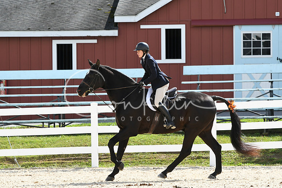 HSM_8664