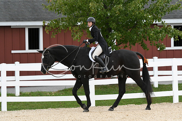 HSM_9275