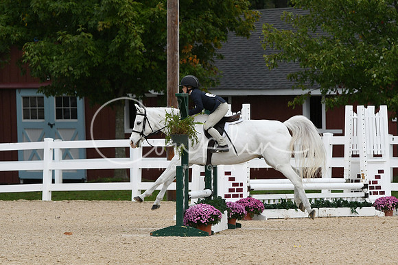 HSM_6570