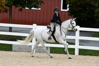 HSM_6558