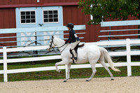 HSM_6568