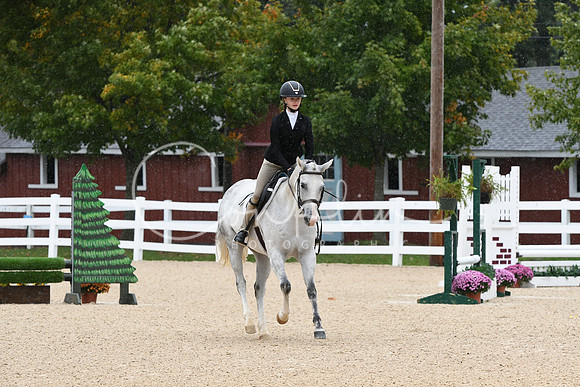 HSM_6335