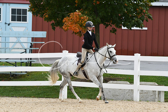 HSM_6726