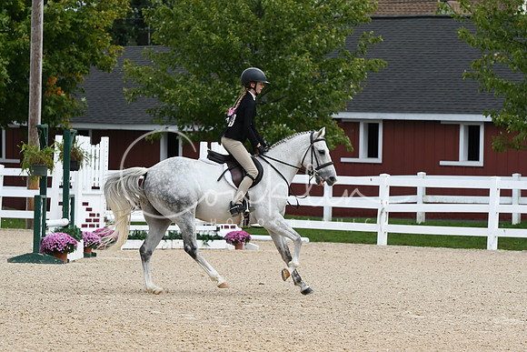 HSM_6772