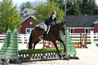 HSM_8729