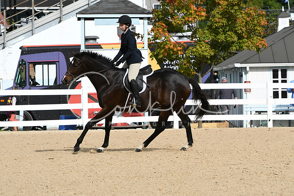 HSM_5063
