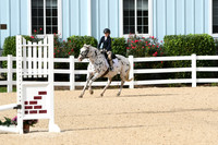 HSM_4938