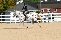 HSM_4946