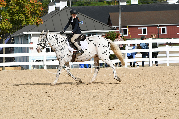 HSM_4946