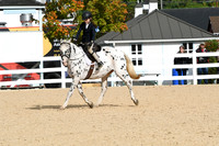 HSM_4947