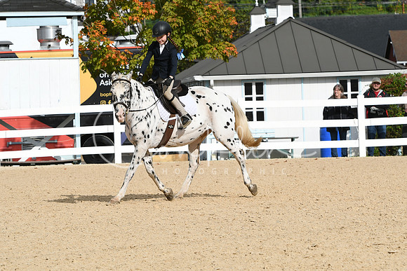 HSM_4947