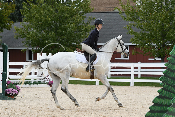HSM_8317