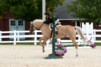 HSM_8735