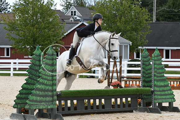 HSM_8322