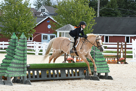HSM_8741