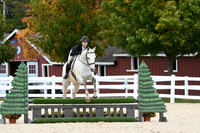 HSM_8380