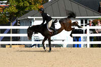 HSM_4982