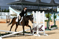 HSM_4988