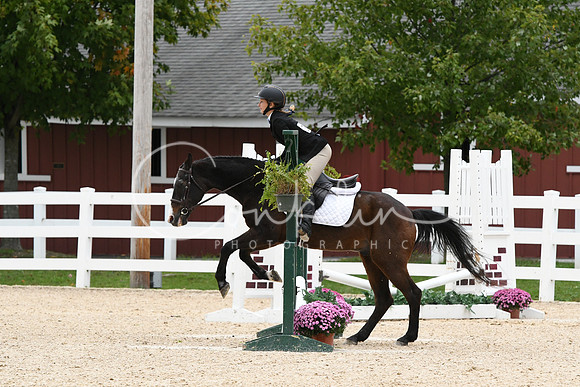 HSM_5869