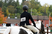 HSM_4519