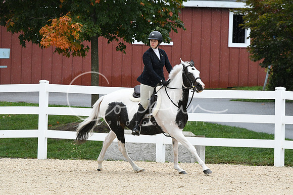 HSM_6447