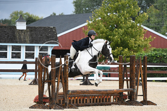 HSM_6449