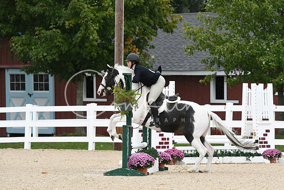 HSM_6495