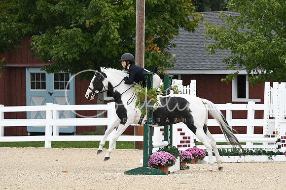 HSM_6496