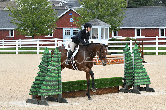 HSM_6297