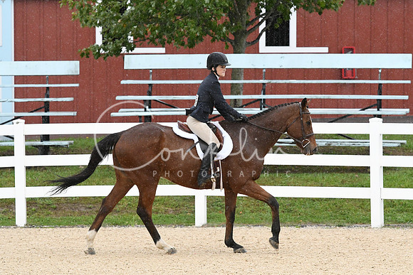 HSM_6284
