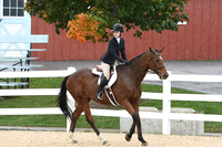 HSM_6285