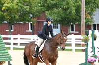 HSM_6295