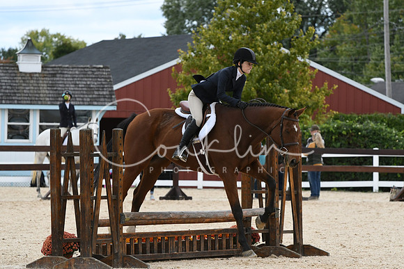 HSM_8331