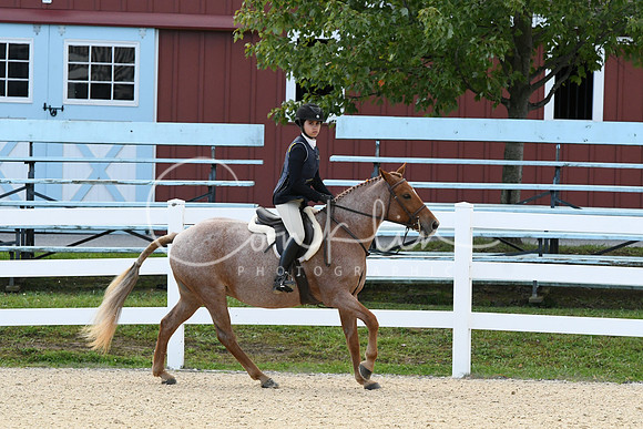 HSM_7261