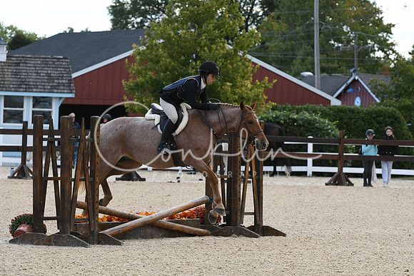 HSM_7265