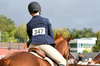 HSM_4968