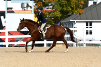 HSM_4976