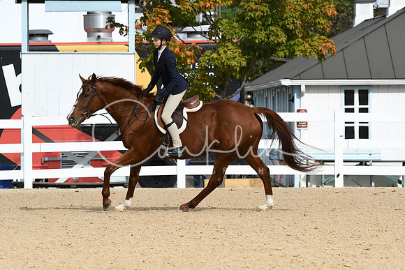 HSM_4976