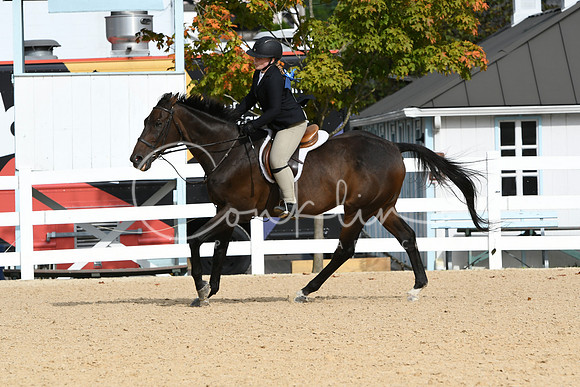 HSM_4962