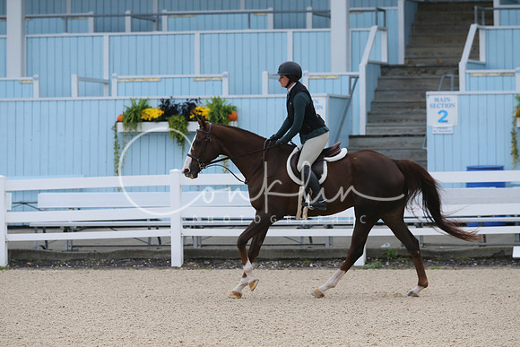 AQ2Q5131