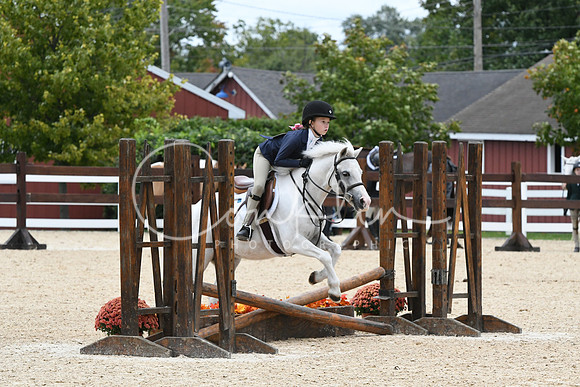 HSM_5806