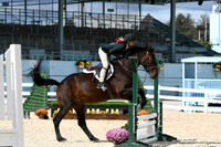 HSM_8148