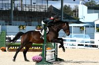 HSM_8149
