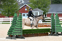HSM_6382