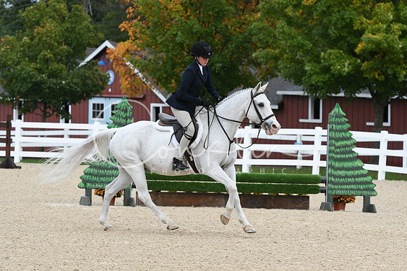 HSM_6538