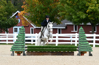 HSM_6542