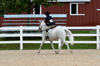 HSM_6546